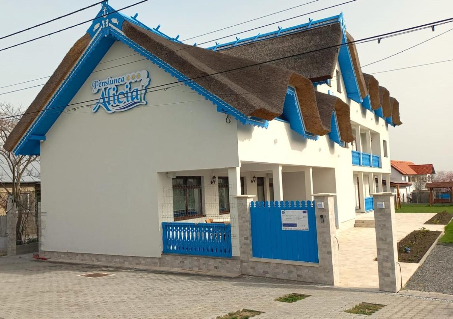 Pensiunea Alicia Jurilovca Luaran gambar